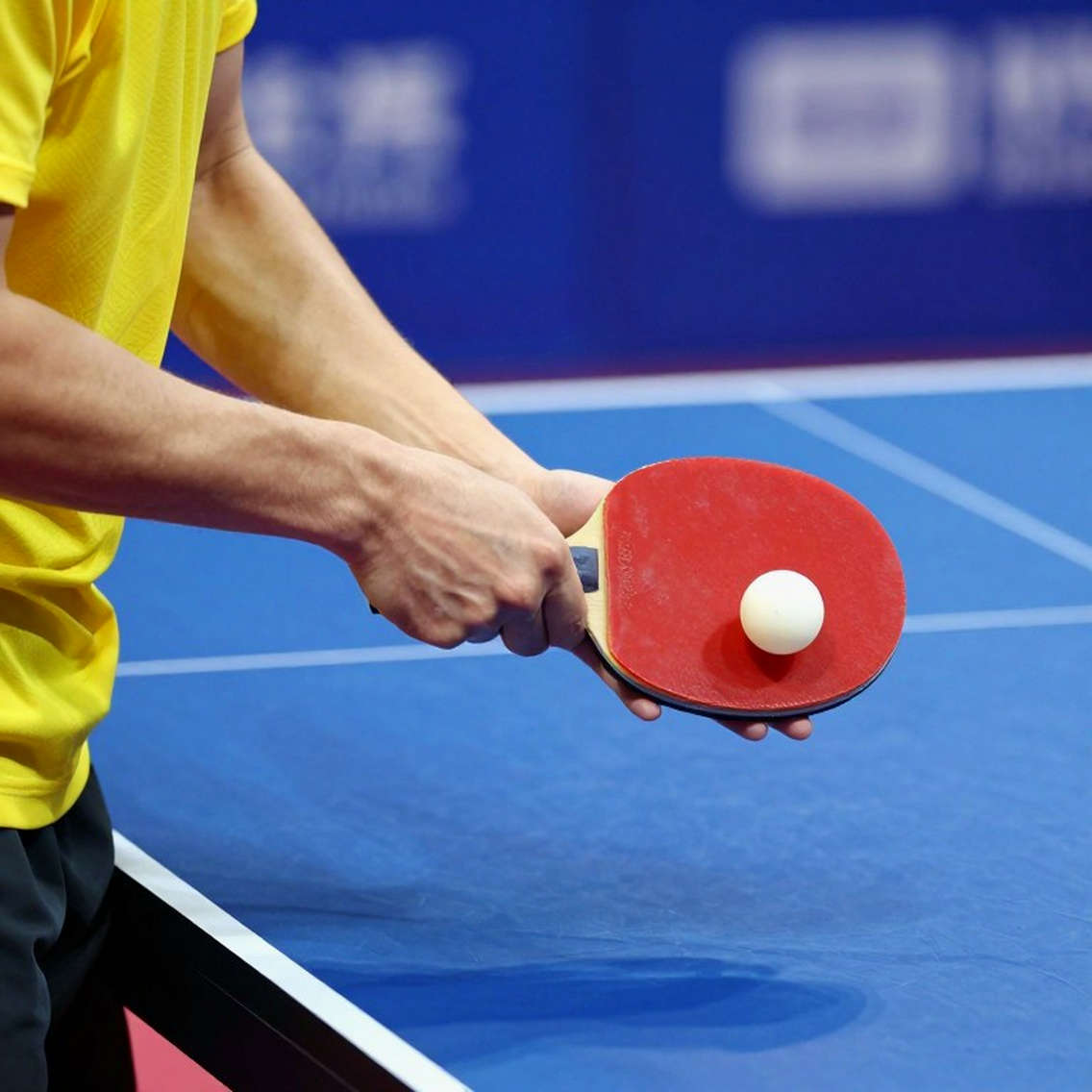 WTT Feeder Chennai 2026: Bên trong bàn cờ hạt giống và tham vọng sân nhà của bóng bàn Ấn Độ